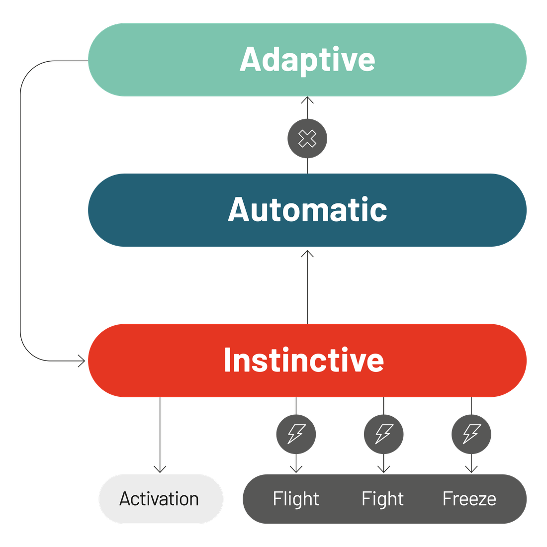 The decision centres of the brain